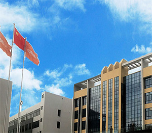 公司簡(jiǎn)介